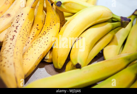 Nahaufnahme von Bananen im Markt Stockfoto