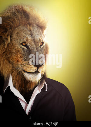 Lion gekleidet mit einem T-Shirt und Pullover Stockfoto