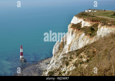 Die weißen Klippen und Leuchtturm am Beachy Head an der englischen Südküste in East Sussex Stockfoto