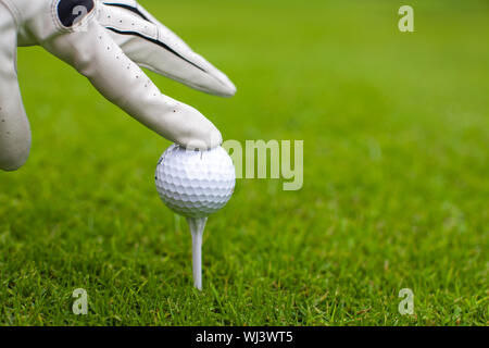 Hand, die Platzierung Golfball auf Tee über Golfplatz mit grünen Rasen Stockfoto