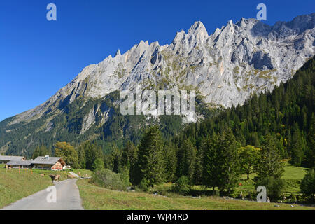 Blick auf das Engelhorn Bergen oberhalb von Grindelwald im Berner Oberland, mit Fleckvieh Kühe im Vordergrund. Stockfoto