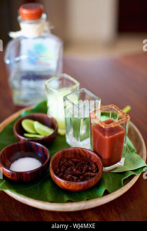 Gourmet tequila Schüsse auf Fach Stockfoto