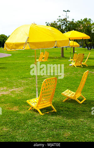 gelbe Sonnenschirme und Liegestühle stehen auf dem Rasen Stockfoto