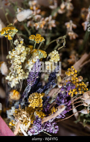 Close up getrocknete Kamille und Lavendel Bündel Stockfoto