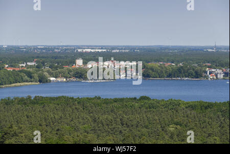 Bäume, Baum, Bäume, Berlin, Biotop, Deutschland, Wald, Friedrichshagen, Wasser, Gewässer, der grossen Mueggelsee, Großer Müggelsee, grünen, grünen, mehr Grün, Gr Stockfoto