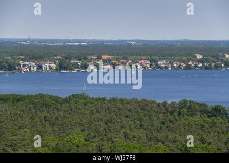 Bäume, Baum, Bäume, Berlin, Biotop, Deutschland, Wald, Friedrichshagen, Wasser, Gewässer, der grossen Mueggelsee, Großer Müggelsee, grünen, grünen, mehr Grün, Gr Stockfoto