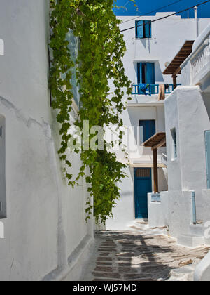 Schmaler Pfad inmitten der weißen Gebäude mit grünen Pflanzen und Balkone an einem sonnigen Tag in der Stadt auf der Insel Mykonos in Griechenland eingerichtet, Stockfoto