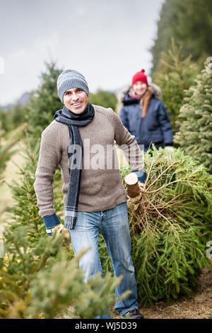 Mann ziehen frische Fichte am Schnitt Ihren eigenen Weihnachtsbaum Bauernhof mit seiner Tochter im Hintergrund Stockfoto