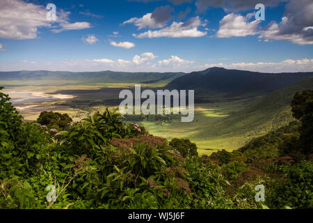 Ansicht der Ngorongoro Krater vom Kraterrand, Ngorongoro Conservation Area, Tansania. Stockfoto