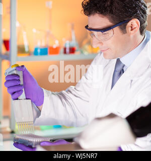 Schwerpunkt Life Science professionals Pipettieren master mix Lösung in die PCR 96 micro Platte in der genetischen Labor. Stockfoto