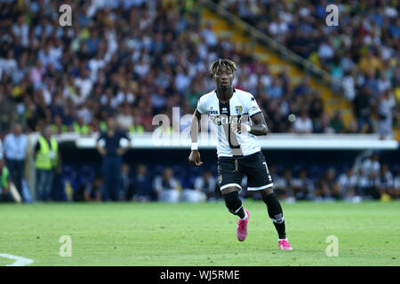 Parma, Italien. 24. August 2019. Italienische Serie A Parma Calcio vs FC Juventus. Yann Karamoh von Parma Calcio. Stockfoto