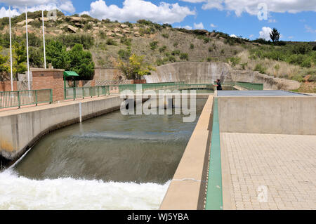 Ash River Mündung in der Nähe von Clarens, Südafrika, Wasser Katse Damm in Lesotho ist von einem Tunnel in die Asche Fluss an dieser Stelle entladen Stockfoto