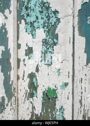 Schichten von abblätternder Farbe auf der alten Holztür. Die Farbe blätterte ab, die Farbe riß, die Farbe war alt, die Tür verblasste mit der Zeit. Stockfoto