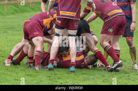 Die Teilnahme an Spielen Rugby, Clitheroe, Lancashire. Stockfoto