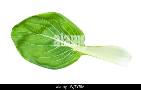 Frische Blätter mit Bok Choy (Pok Choi, Pak Choi) Chinesische blatt Kohl Ausschnitt auf weißem Hintergrund Stockfoto