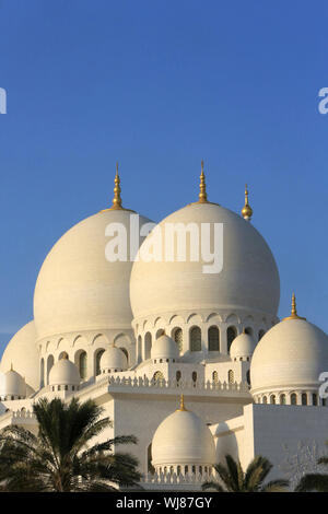 Mosquée Sheikh Zayed. 1995. Abu Dhabi. /Sheikh Zayed Moschee. 1995. Emirat Abu Dhabi. Stockfoto