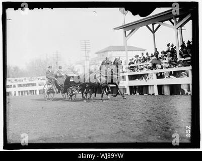 Pferd zeigt. McLEAN EINTRÄGE Stockfoto