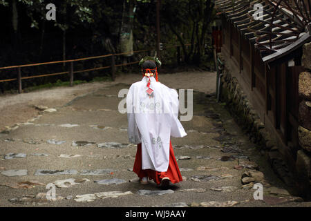 Miko - shinto Priesterin zu Fuß die Treppe des alten Schrein in Kyoto (Kamigamo Jinja) Stockfoto