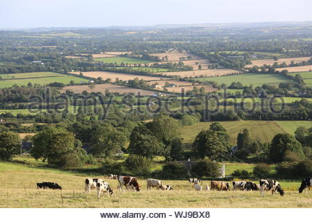 Der Blick über die Felder in der Nähe von Tory Hügel im südlichen Teil der Grafschaft Kilkenny in der Republik Irland an einem Sommerabend Stockfoto