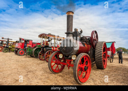 Das Line-up der sortierten Traction engines, engines Showman und straßenwalzen am 2018 Low Ham Steam Rally, Somerset, England, Großbritannien Stockfoto