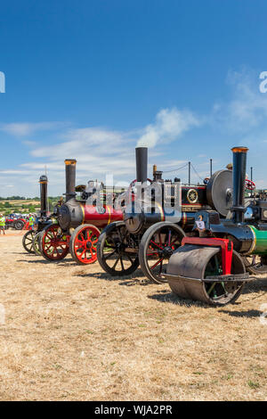 Das Line-up der sortierten Traktion Motoren und Walzen an der 2018 Low Ham Steam Rally, Somerset, England, Großbritannien Stockfoto