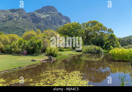 Teich in Kirstenbosch National Botanical Garden mit Blick auf die Ostseite des Table Mountain, Cape Town, Western Cape, Südafrika Stockfoto