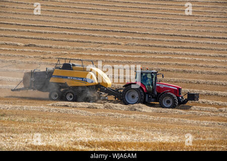 Heu pressen - Landmaschinen verwendet einen Schnitt zu komprimieren und Geharkt Erntegut (z.b. Stroh, Baumwolle, Flachs, Stroh, Salt Marsh Heu oder Silage) in kompakten Ballen, Stockfoto