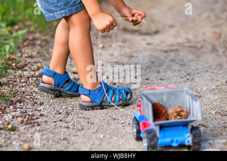 Rückansicht des unteren Abschnitt von einem 3-4 jährigen Kind in kurzen Hosen im Sommer herauf eine Eichel in einem Spielzeug-LKW zu setzen Stockfoto