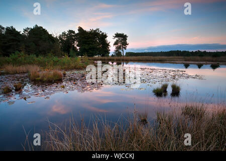 Sonnenuntergang über wilde See, Dwingelderveld, Drenthe, Niederlande Stockfoto