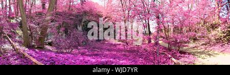 Schöne rosa und lila Infrarot Panorama einer europäischen Landschaft Landschaft mit einem blauen Himmel Stockfoto