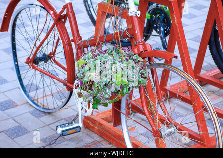 Moderne transport Konzept. Original Parkplatz für Fahrräder mit Blumen geschmückt. Stockfoto