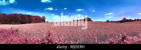 Schöne rosa und lila Infrarot Panorama einer europäischen Landschaft Landschaft mit einem blauen Himmel Stockfoto