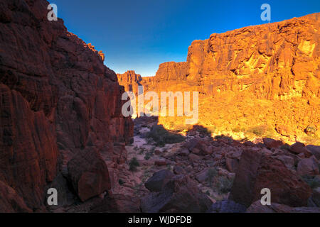 Panorama im Inneren Canyon aka Guelta d'Archei, Osten Ennedi, Tschad Stockfoto