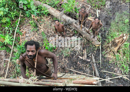 ONNI DORF, Neuguinea, Indonesien - Juni 24: Der Mann aus einem Korowai Stamm korowai steigt auf das traditionelle Haus auf einem Baum.. Am 24. Juni 2012 in Onni Stockfoto