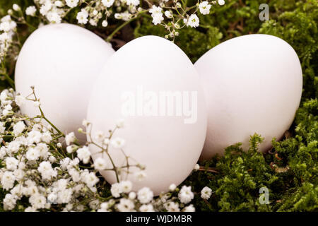 Plain undekorierte Ostern Eier in einem Nest Stockfoto