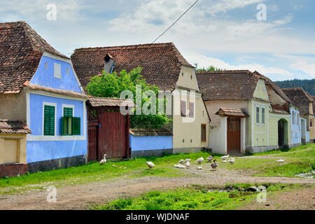 Sächsische Häuser in Viscri, einem UNESCO-Weltkulturerbe. Brasov County, Siebenbürgen. Rumänien Stockfoto