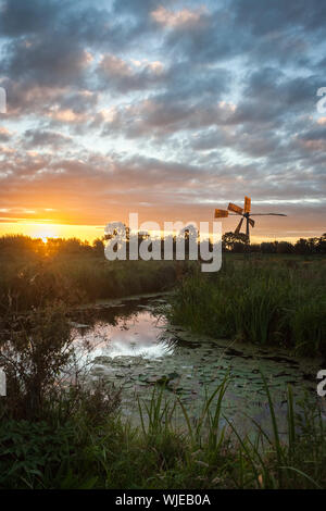 Die Sonne über die holländische Landschaft mit Reflexionen im Wasser in der Nähe von Gouda, Niederlande. Eine alte Windmühle wird von der Sonne beleuchtet. Stockfoto