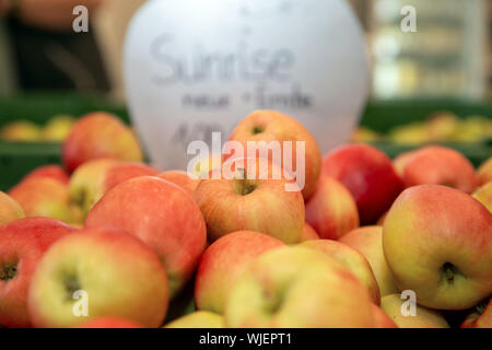 Stolpen, Deutschland. 23 Aug, 2019. Hunderte von Sunrise Äpfel liegen in einer großen Box im Shop der Menzel Obst wachsendes Unternehmen. Credit: Daniel Schäfer/dpa-Zentralbild/ZB/dpa/Alamy leben Nachrichten Stockfoto