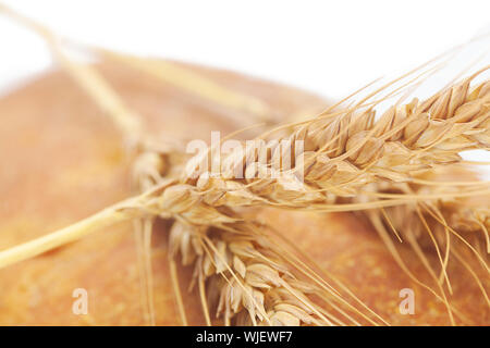 Brot und Spitzen isoliert auf weiss Stockfoto