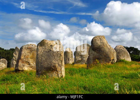 Prähistorischen Megalithen Menhire in Carnac in der Bretagne, Frankreich Stockfoto