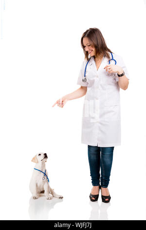 Weibchen mit einem Welpen Labrador Hund Veterinär Stockfoto