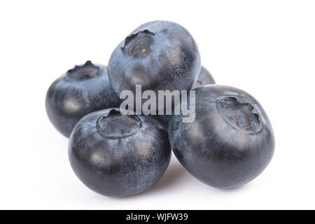 Heidelbeeren Gruppe auf weißem Hintergrund Stockfoto