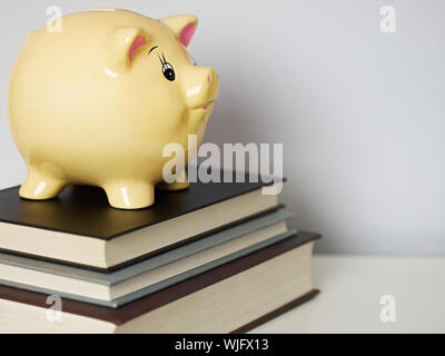 gelbe Sparschwein auf gebrauchte Bücher. Horizontale Form, Textfreiraum Stockfoto