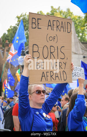 Westminster, London, 03. Sep 2019. Pro- und Anti-Brexit Demonstranten Rallye rund um Parlament und College Green in Westminster am Tag Parlament kehrt aus der Aussparung. Stockfoto