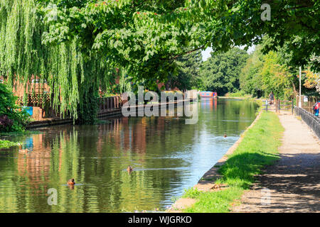 Leinpfad entlang des Grand Union Canal (Leicester Abschnitt - Loughborough Zweig) durch Loughborough, Leicestershire, England, Großbritannien Stockfoto