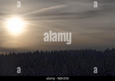 Sonnenstrahlen in einem bewölkten Himmel über Pinienwald in einem Winter. Nationalparks Harz, Deutschland Stockfoto