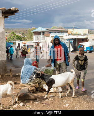 HARAR, Äthiopien - 26. MÄRZ 2017: Unbekannter Menschen kaufen Qat, eine Droge, die in Ostafrika eingesetzt. Stockfoto