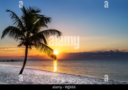 Wunderschönen Sonnenaufgang auf Key West, Florida, USA Stockfoto