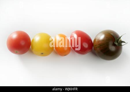 Kleine Kirsche variiert Multi Farbe Tomaten, im Studio, weißer Hintergrund Stockfoto