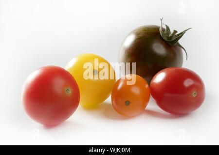 Kleine Kirsche variiert Multi Farbe Tomaten, im Studio, weißer Hintergrund Stockfoto